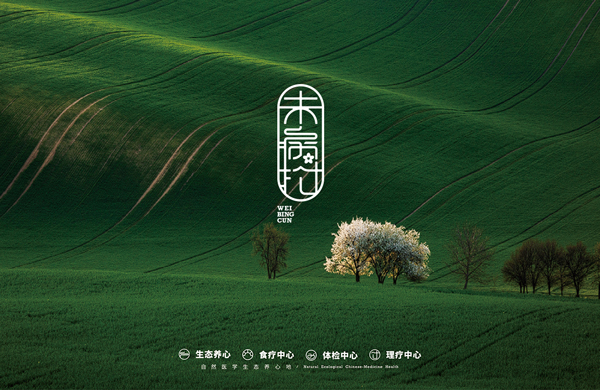 未病村品牌设计